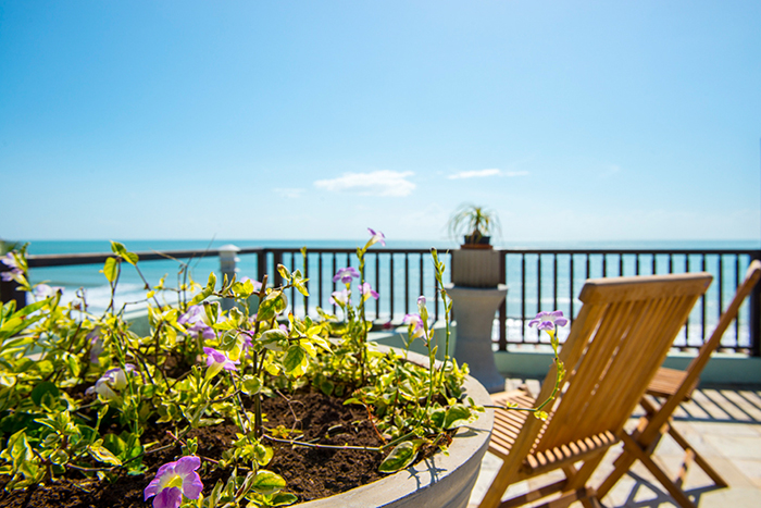 Blue Marlin Apartments